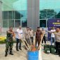 Foto pemusnahan 8 pohon Ganja