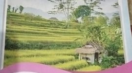 Buku LKS yang diduga dijual belikan oleh SMK Negri 17 Legok kabupaten Tangerang 