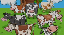 Gambar ilustrasi, sumber goggle