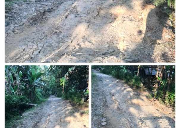 foto slider headline